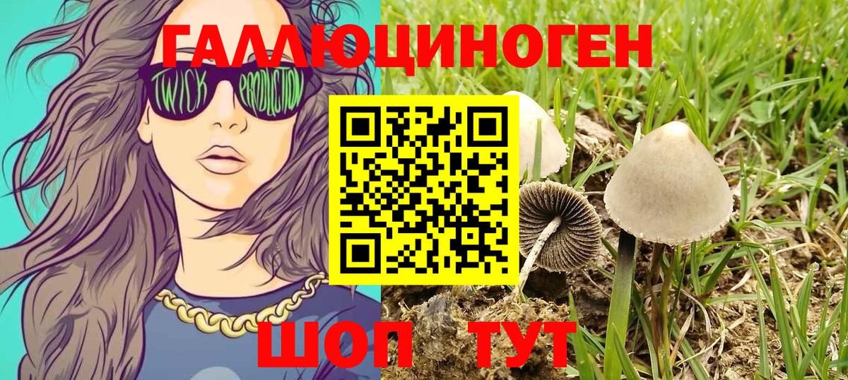 Кирово-Чепецк  Галлюциногенные грибы Psilocybine cubensis  Вход с VPN 